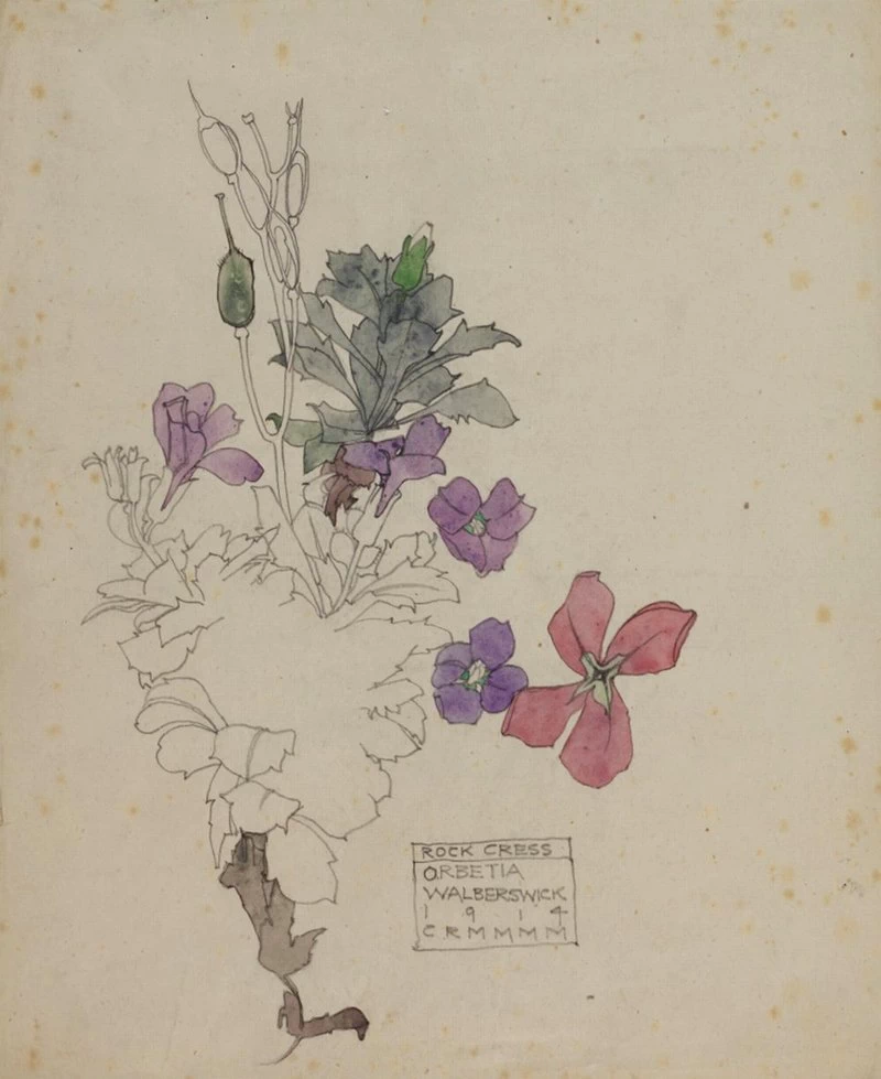 Crescione. Walberwick, 1914